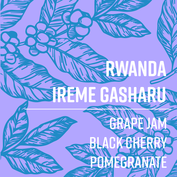 Rwanda, Ireme (72 Hour Anaerobic)